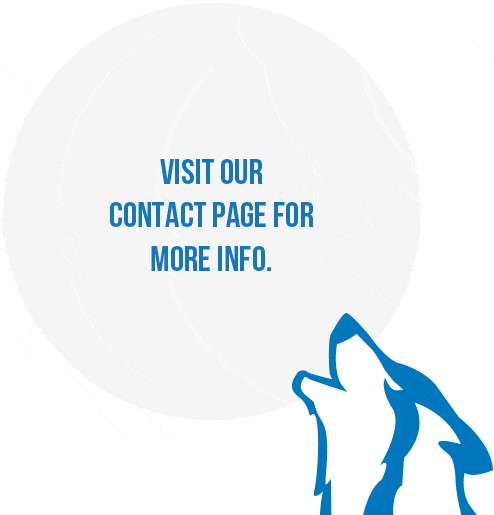 visit-our-page-for-more-info Wolf Consulting contact us logo