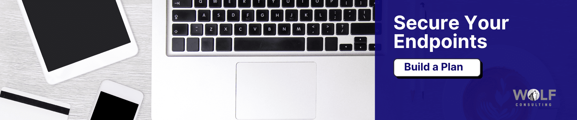 Build your cybersecurity plan with a Wolf Cybersecurity Specialist